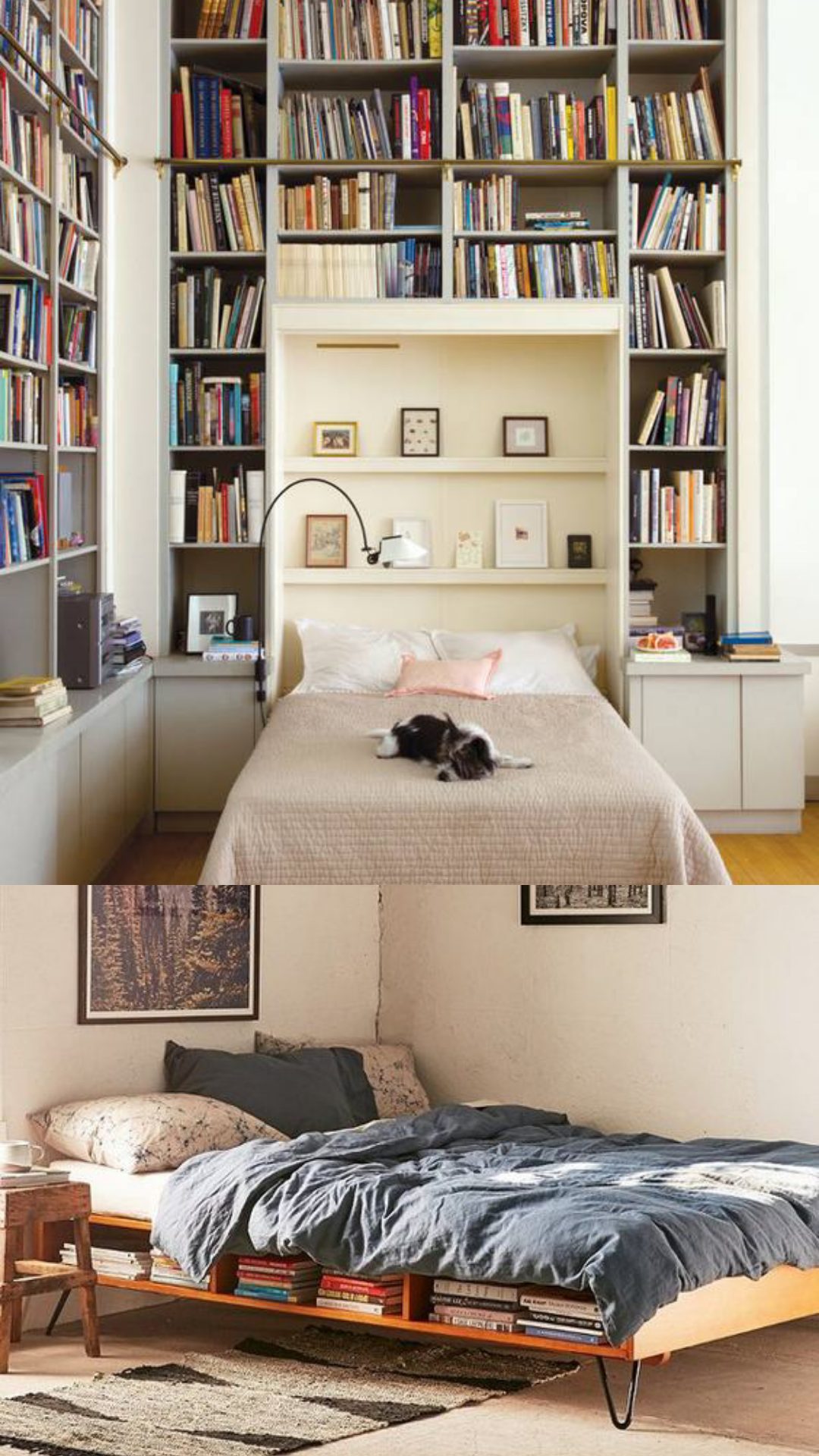 bookworm bedroom ideas