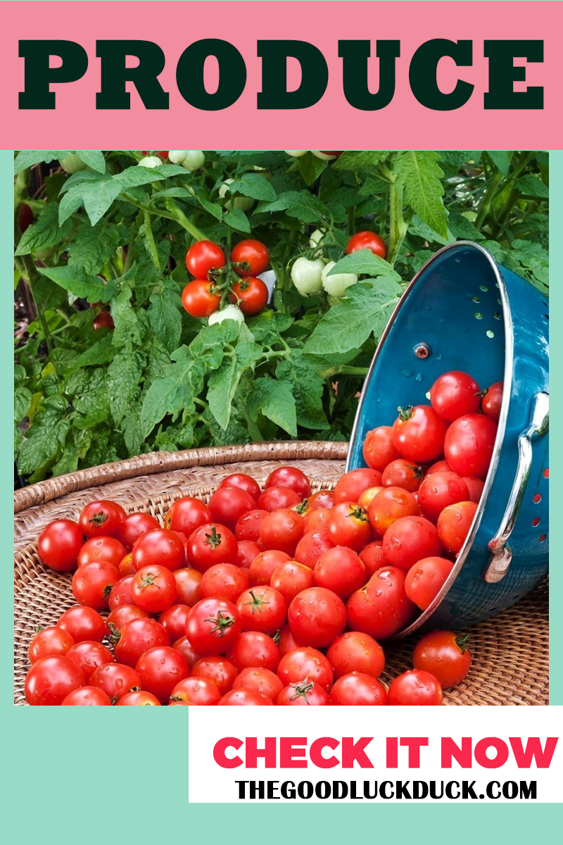 outdoor shops near me on 40 Brilliant Ideal Rv Camping Checklist Camping Ideas Tips